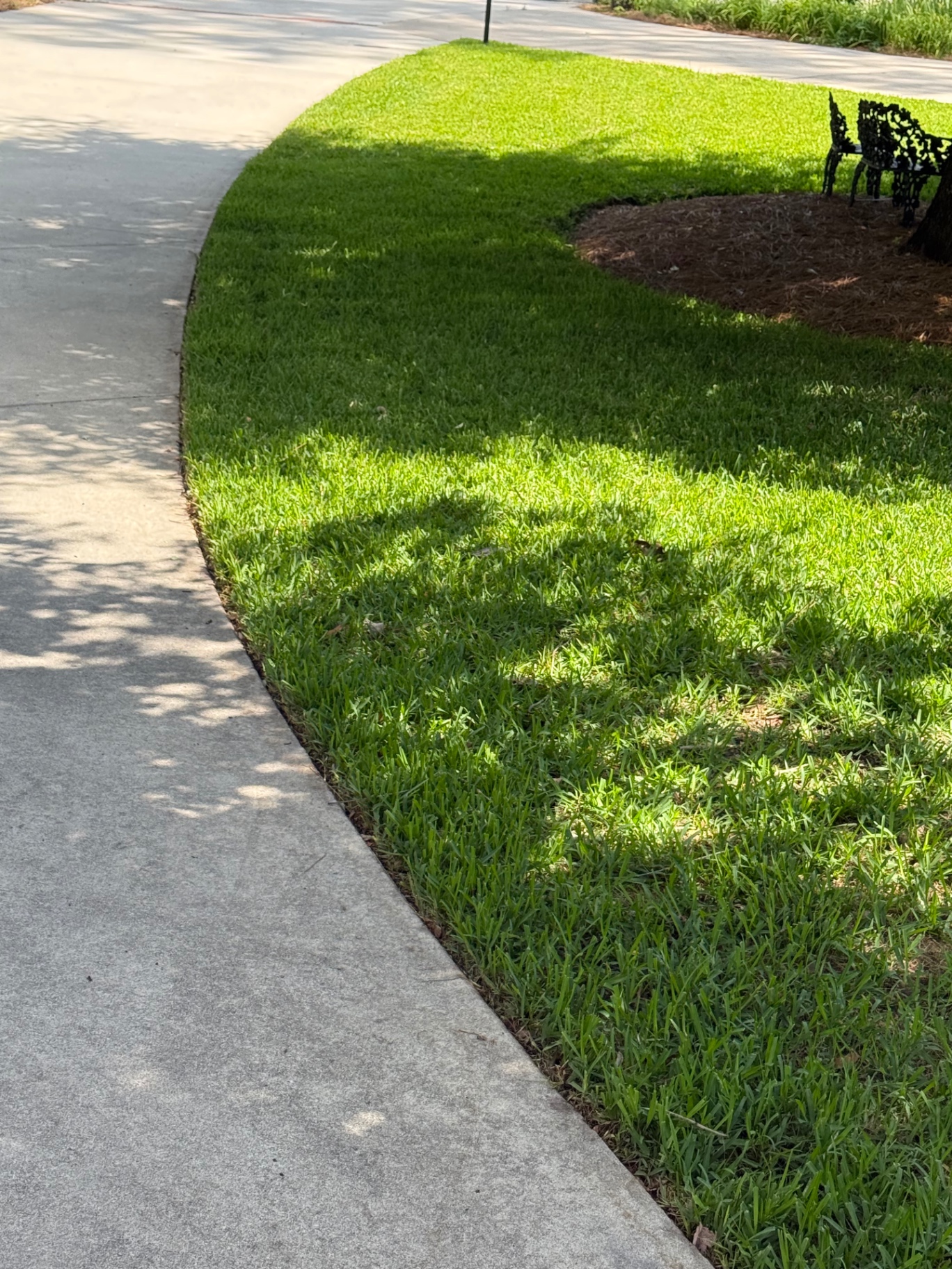 Crisply edged curve along a curb where lush green lawn meets concrete in Perry, GA