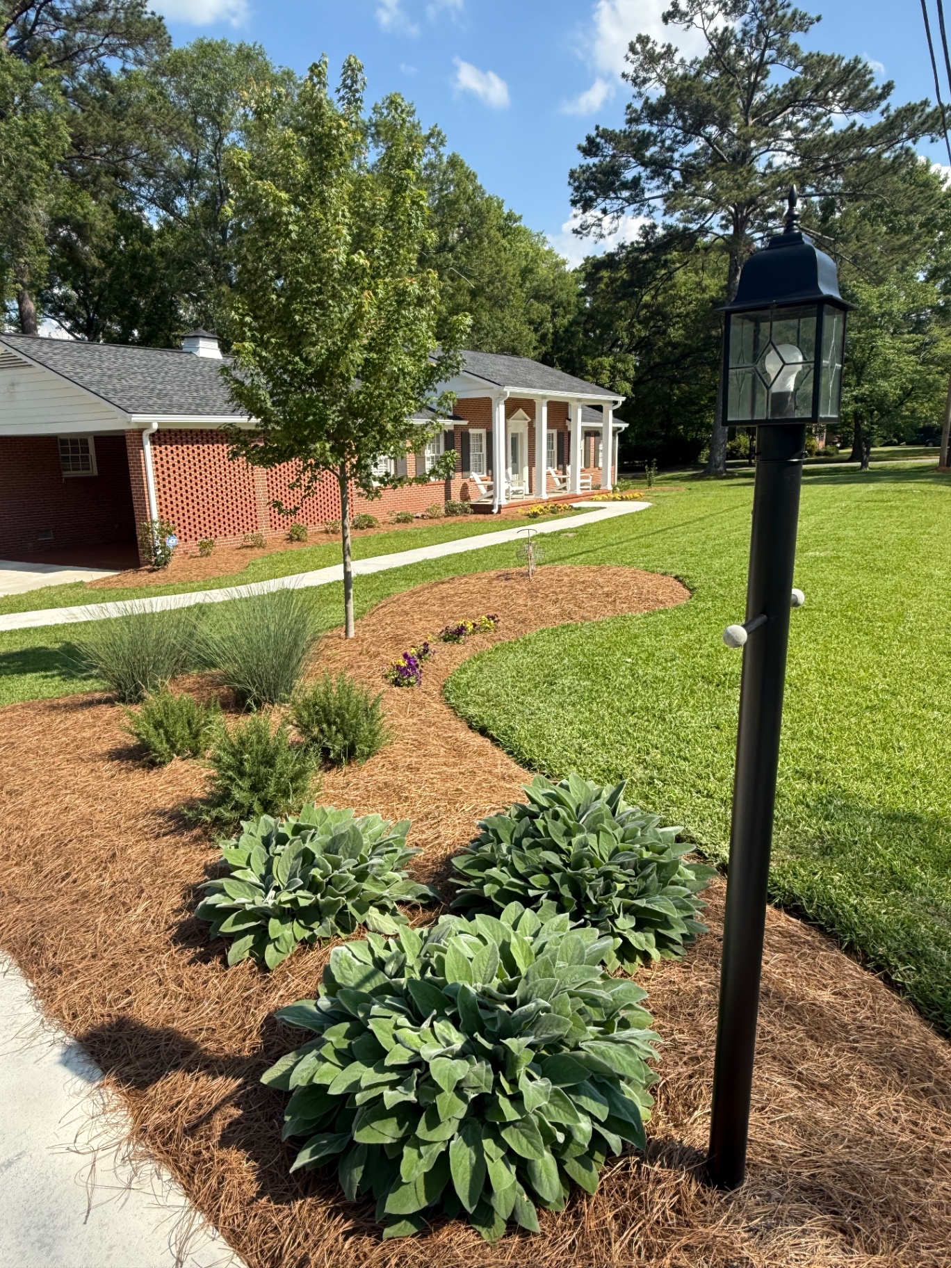 Manicured lawn with fresh pine straw beds and landscaping in Perry, GA