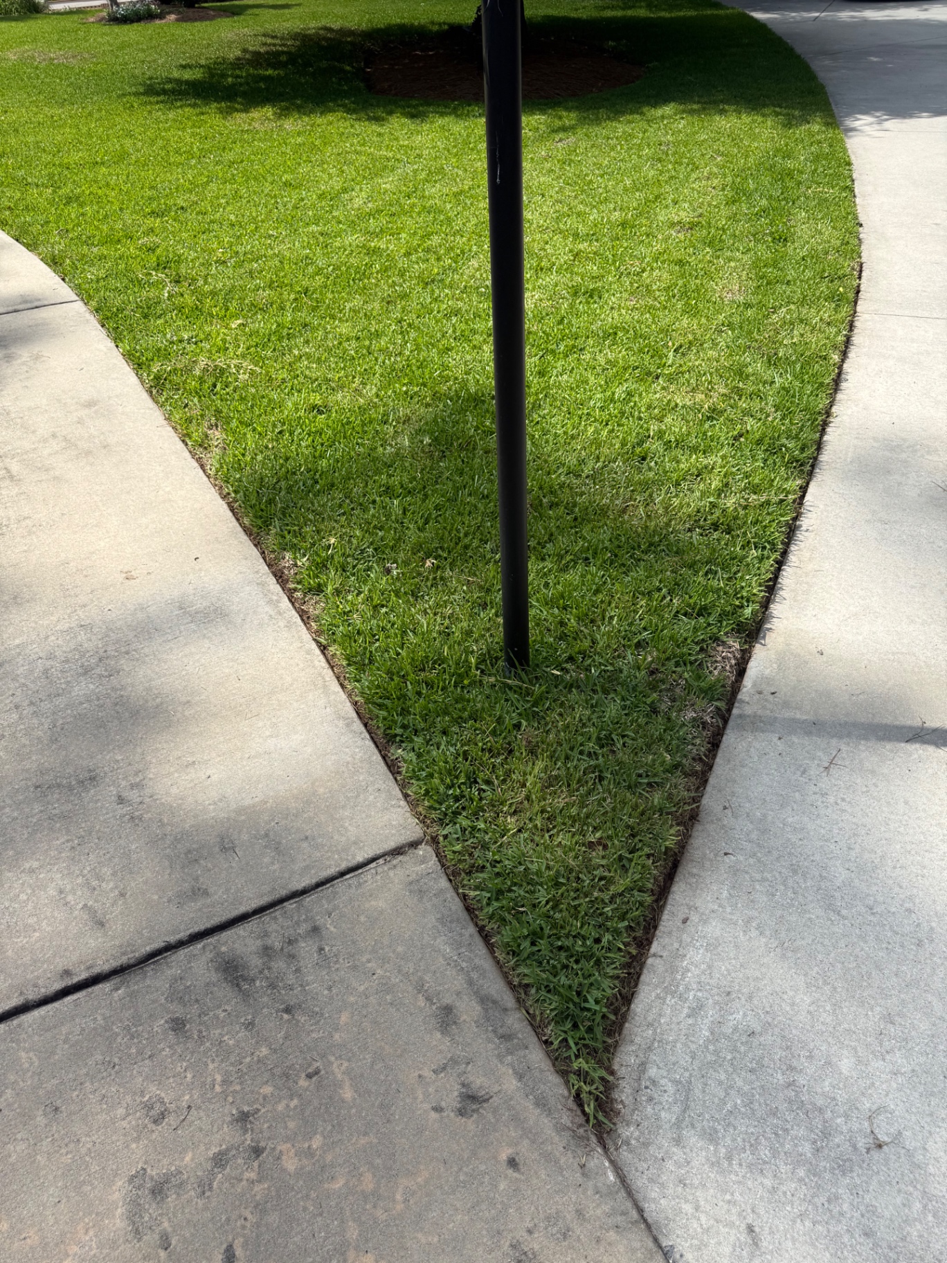 Tight, clean edge cut around a lamp post where lawn meets driveway